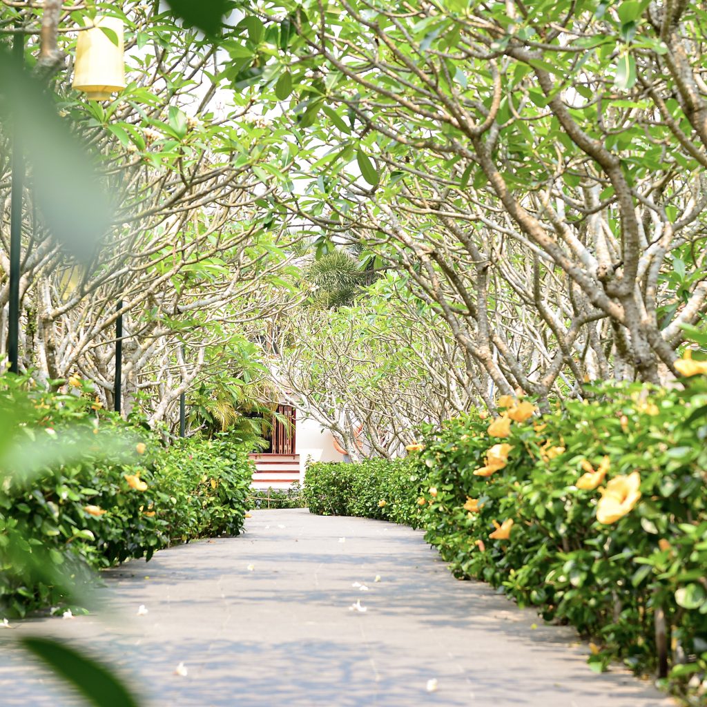 Summer in Hoi An - the perfect time for families to plan a meaningful holiday together.