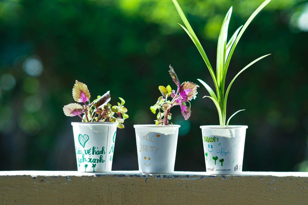 An eco-conscious initiative that invites guests to plant small herbs or flowers in upcycled cups