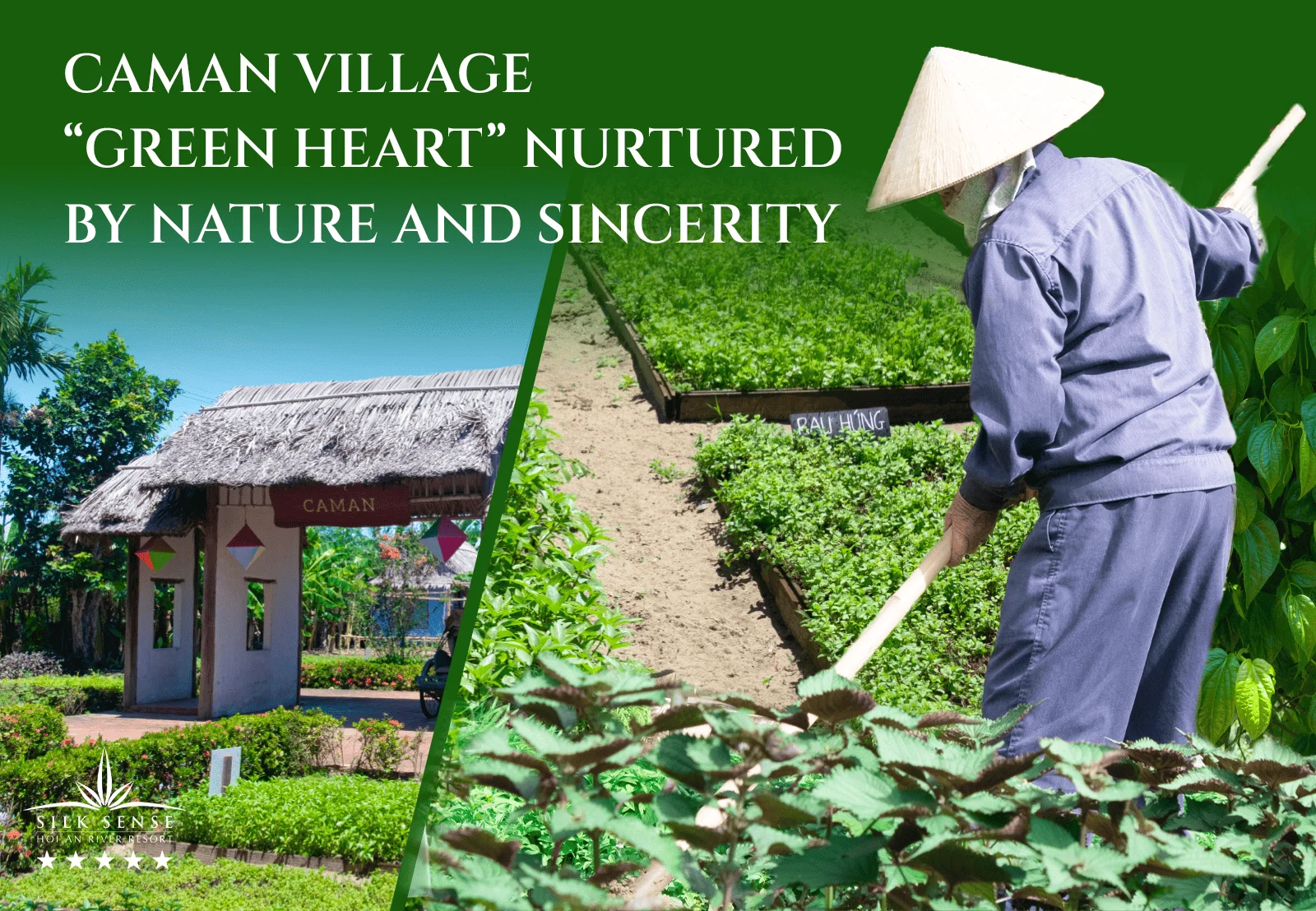 Explore Caman Village The “Green Heart” nurtured by nature and sincerity