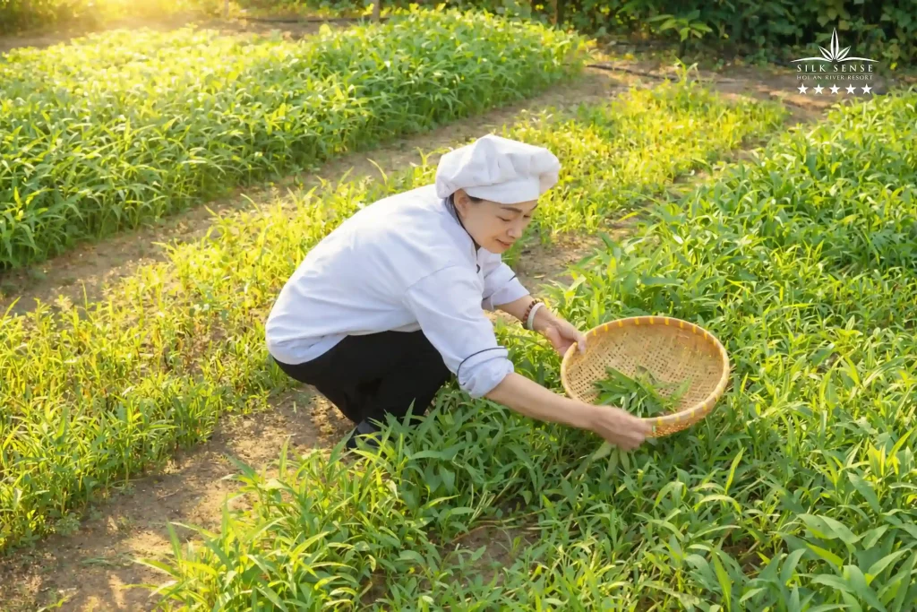 The garden is a part of everyday life.