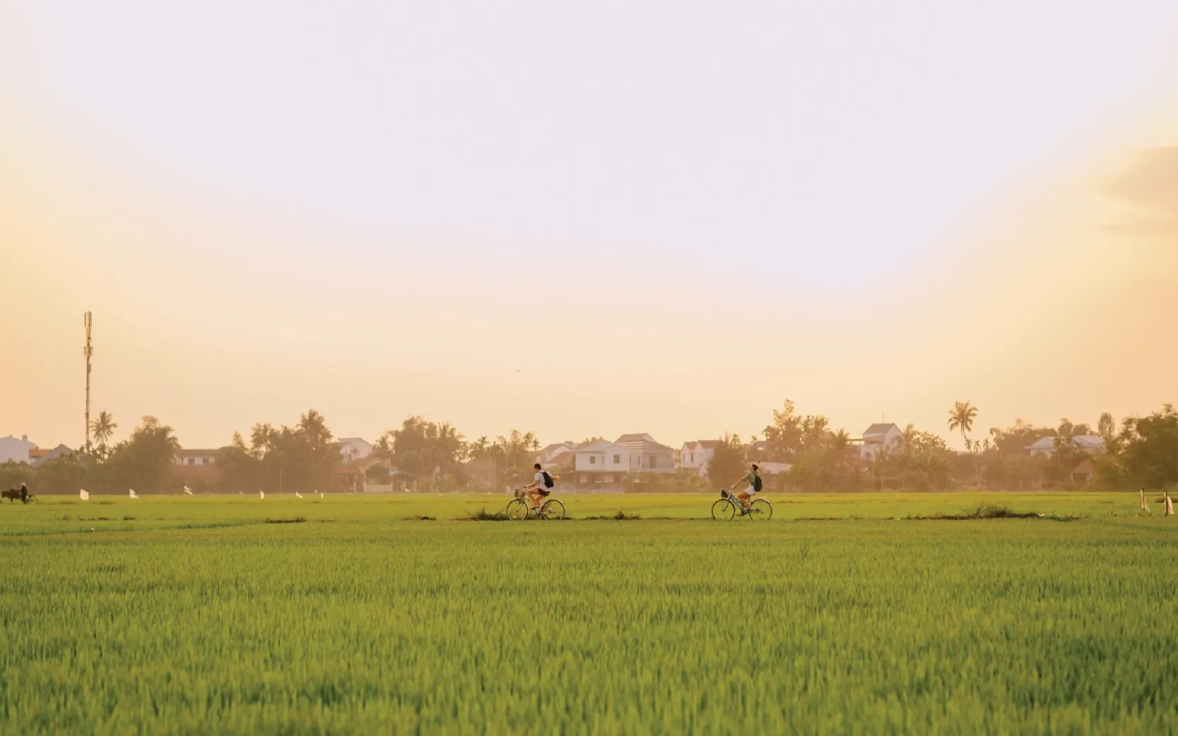 Summer in Hoi An: Experiences You Can't Miss